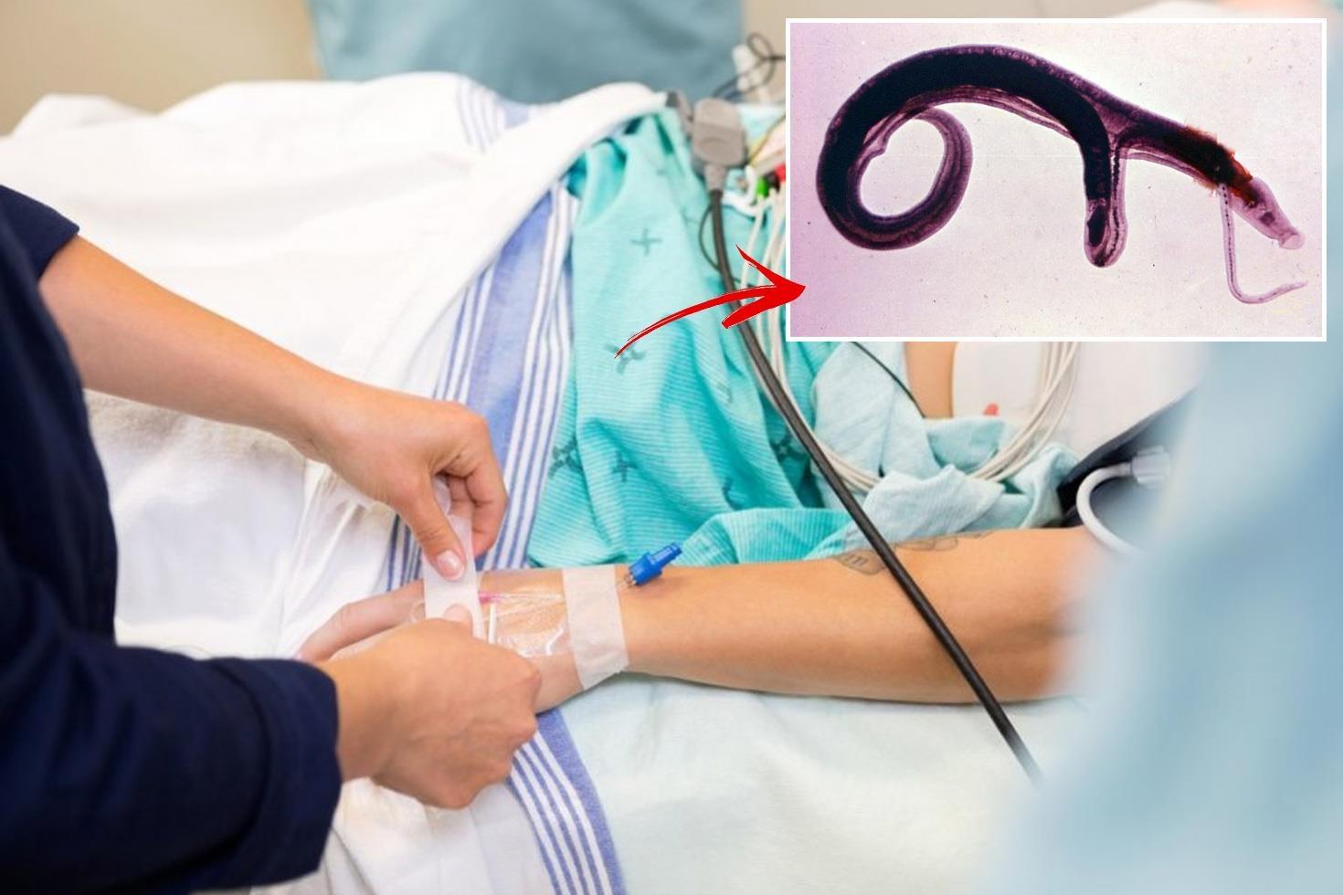 DSÖ’den küresel alarm Cinsel organlara yerleşen parazit evrim geçirdi, yeni ülkelere yayılabilir