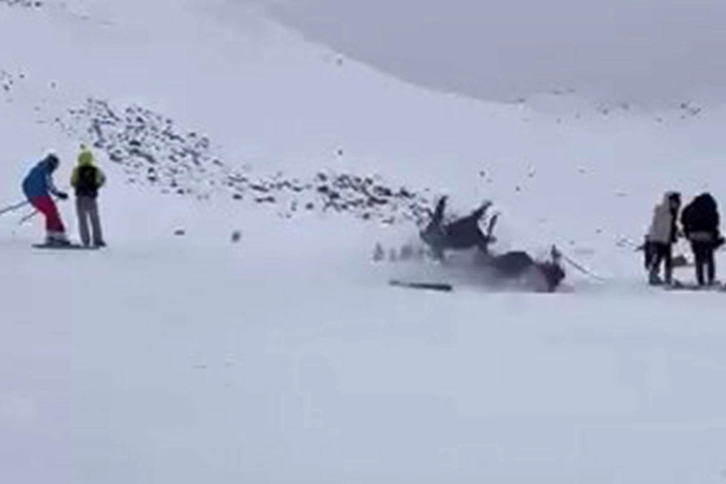 Bingöl’de kayak merkezinde feci kaza: 6 yaralı