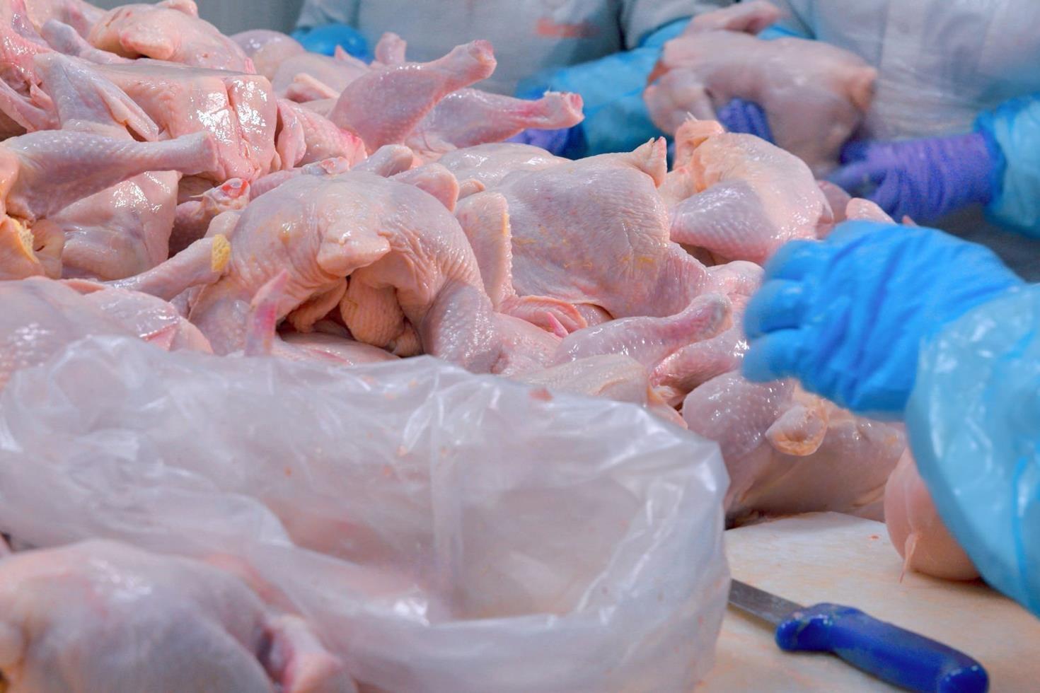 Ramazan öncesi kritik adım Tavuk ihracatı resmen durduruldu