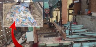 Evinin bahçesinde korkunç son! Başı şerit testereye sıkıştı