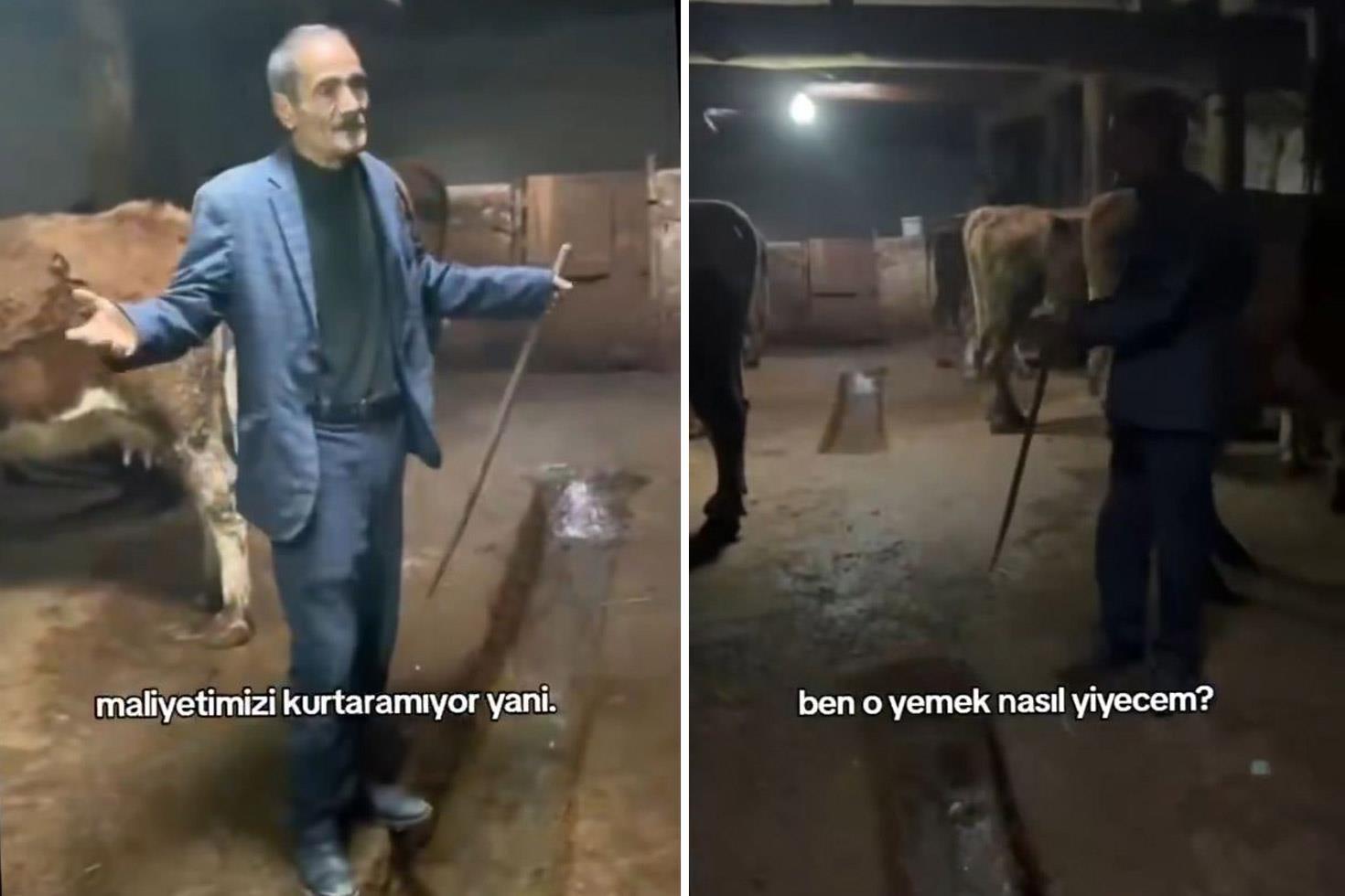 Hayvanlarına yem alamayan vatandaşın isyanı: Yemin ederim içim yanıyor