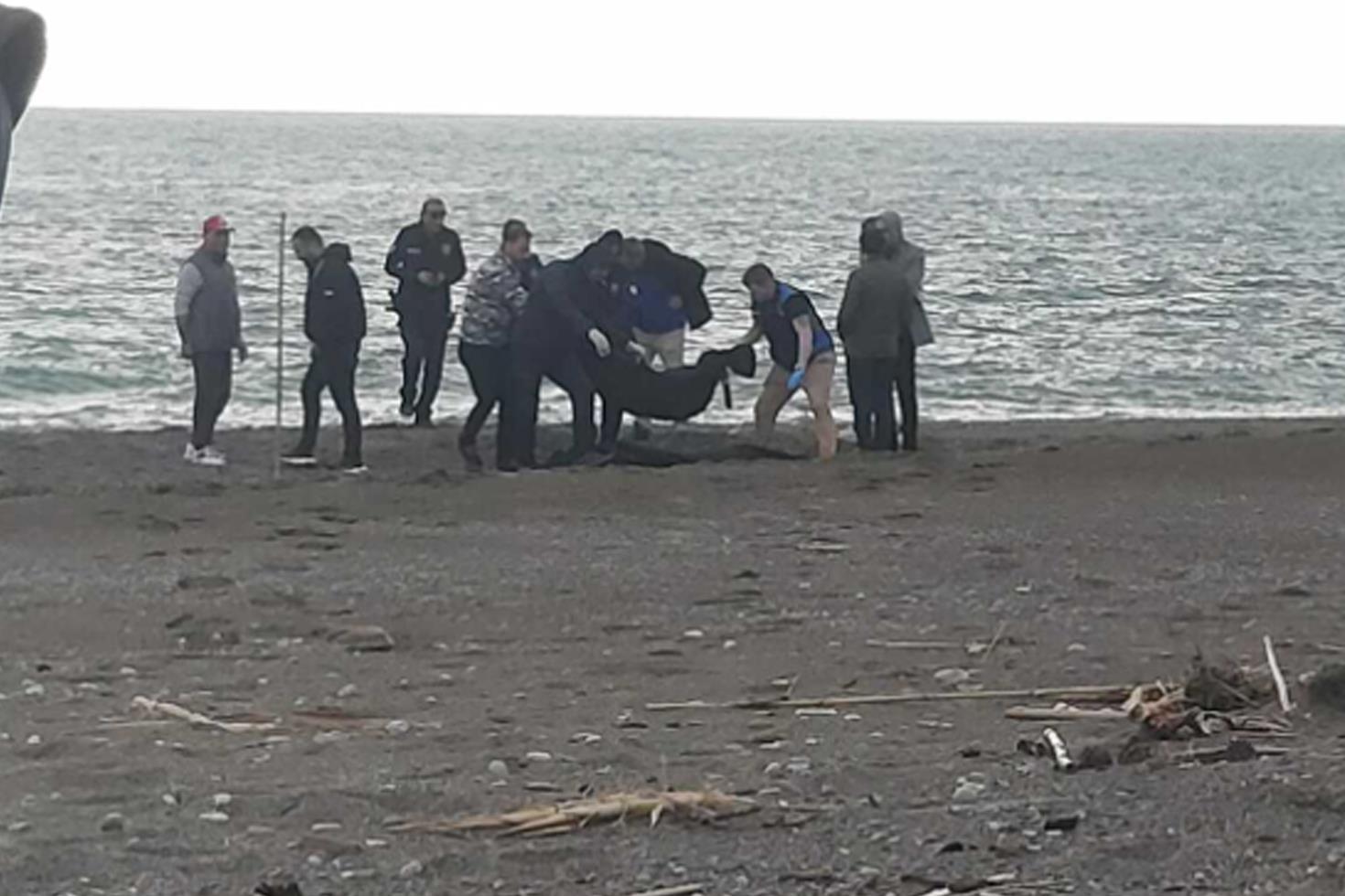 Sahilde kan donduran manzara Yürürken fark edip telefona sarıldı