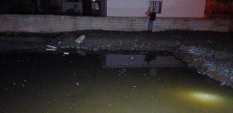 Biri 5 diğeri 6 yaşındaydı! İki kardeş birlikte ölüme gitti