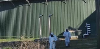 Biyogaz tesisinde büyük facia! 3 işçi hayatını kaybetti