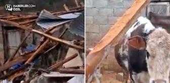 Kenti hortum vurdu! Besici ve üreticilerin kaybı büyük