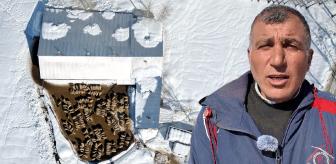 İstanbul'dan köyüne dönüp kurdu! Geçimini artık böyle sağlıyor