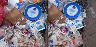 Bunun adı düpedüz vicdansızlık! Hepsini çöpe attılar