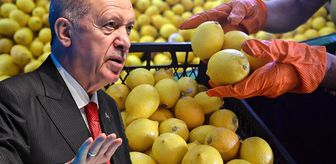 Fiyatı uçmuştu, Erdoğan el attı 