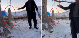 Köpeğini ağaca asıp öldürdü! Gerekçesi olaydan daha skandal