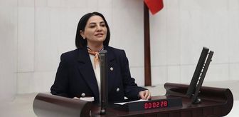 Şengül Karslı'dan muhalefete sert tepki: Ayıp arayan geçmişine baksın