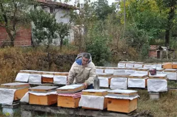 Türkiye'de Prolin Değeri En Yüksek Olan Erbaa Süzme Balının Kilosu 125 TL'ye Satışa Sunuldu