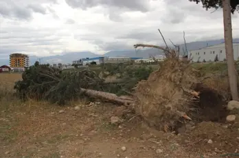 Hatay'da Şiddetli Fırtına Hayatı Felç Etti