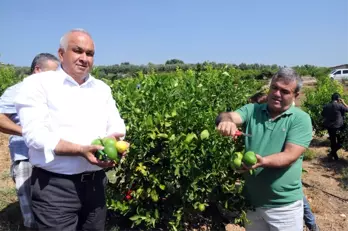 Başkandan Cezeryeli İhracatlık Limon Kesimi