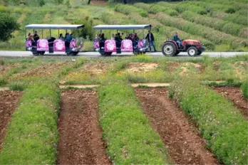 Isparta'da üretilen güllerden yapılan yılın ilk gül yağı, kilosu 9 bin eurodan satıldı