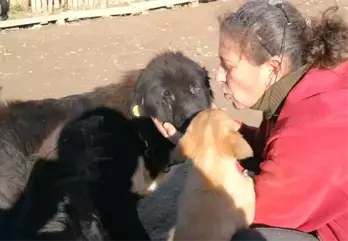 Doğuştan Gözleri Olmayan Köpeğe Evladı Gibi Bakıyor