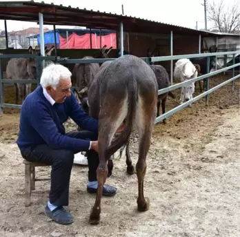 Eşeğin Sütünü de Sütünden Elde Ettiği Sabunları da Satıyor