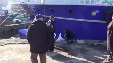 Batı Karadeniz'de Hamsi Bolluğu - Düzce