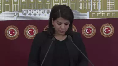 Hdp Diyarbakır Milletvekili Yiğitalp