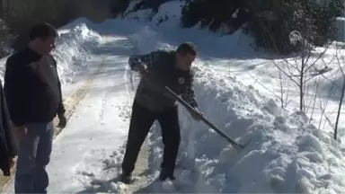 Tedavi Edilen Karacalar Doğaya Salındı