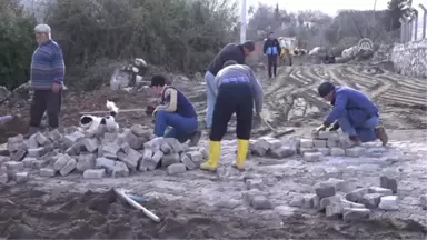 Asırlık Zeytin Ağacı Koruma Altına Alındı