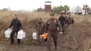 Izmit Körfezi'ndeki Akaryakıt Sızıntısı