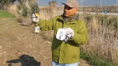 Yunanistan'ın Seferber Olduğu Tepeli Pelikan Söke Ovası'nda Ölü Bulundu