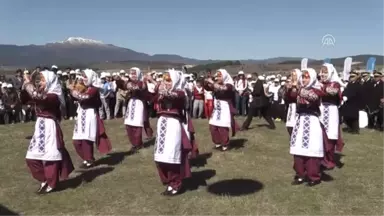 Dünya Ormancılık Günü ve Orman Haftası