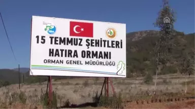 15 Temmuz Şehitleri Için 5 Bin Fidan Diktiler