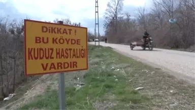 Elazığ'da Bir Köyde Kuduz Karantinası