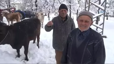 Kahramanmaraş'ta 200 Yıldır Süren Gelenek