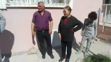 Beton Altındaki 6 Yavru Köpek Belediye Ekipleri ve Vatandaşlar Sayesinde Kurtarıldı