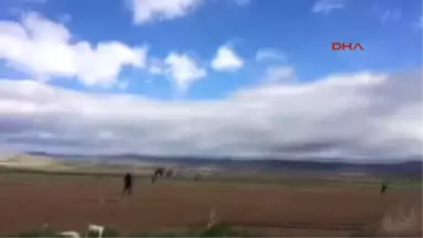 Eskişehir Polis, Hırsızlık Şüphelisini Tarlada Yakaladı