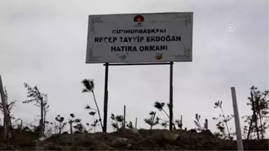 Hakkari'de Engelli Çocuklar Fidan Dikti