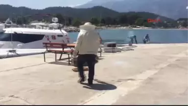 Kemer 2 Bin Bal Arısı Bankı Istila Etti