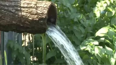 Sağlıklı Gelecek İçin Tohumlar Nilüfer'de El Değiştirdi