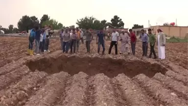 Şanlıurfa'da Pamuk Tarlasında Obruk Oluştu