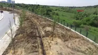 Istanbul'da Kent Içi ve Tem Yolundaki Fidanlar Büyüdü, Kuzey Marmara Otoyolu Kenarlarındakilerin...