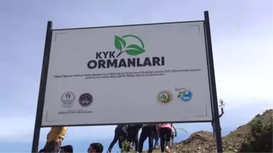 81 Ilde Kyk Ormanları