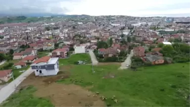 Yalova'da Kentsel Dönüşümle Uyuşturucu Meselesi de Ortadan Kalkacak