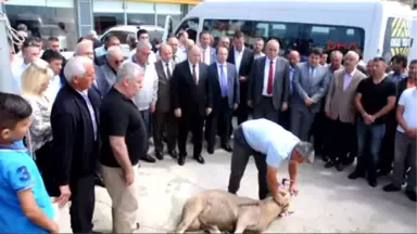 Tekirdağ 813 Karayolları Taşeron Işçisi Kadroya Alındı