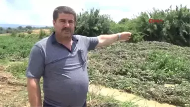 Antalya Manavgat'ta Yağmur Sele Neden Oldu