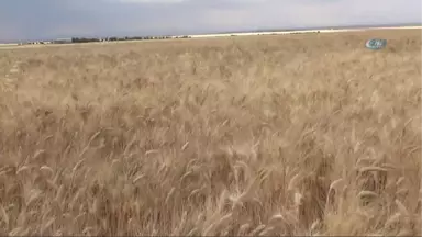 Diyarbakır'da Zırhlı Araçların Karıştığı Kazalarla İlgili Soruşturma Başlatıldı