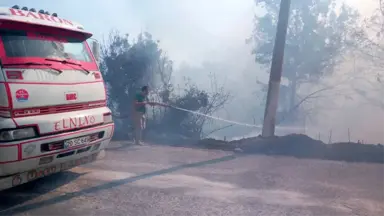 Alanya'daki Orman Yangını 24 Saattir Devam Ediyor