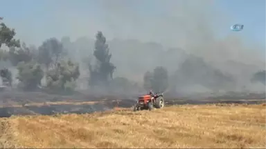 Antalya'da 4 Günde 8 Ayrı Noktada Sıcak Orman Yangınlarında Bin 108 Hektarlık Alan Yandı