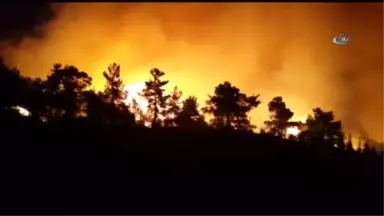 Denizli'deki Orman Yangının Sebebi Kaza ve Doğal Afet Değil