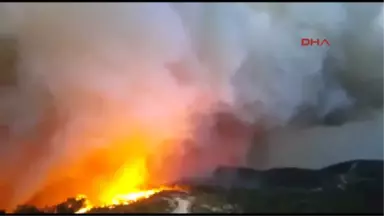 Denizli Sarayköy'deki Yangının Bilançosu 400 Hektar