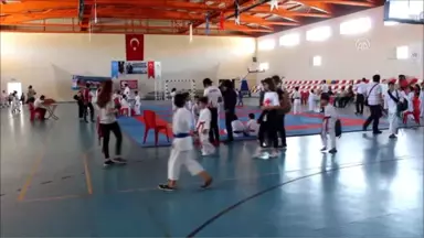 Hassa'da Minikler Karate Turnuvası