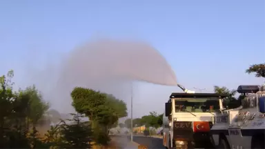 Toma Bu Kez Kuruyan Ağaçlara Su Sıktı