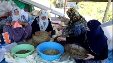 Tunceli'nin Köyünden, Dünyaya Açılan Dut