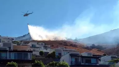 Bodrum'da Makilik Alandaki Yangın, Yerleşim Yerlerini Tehdit Etti